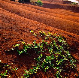 沾上扑克就是赌？《小丑牌》开发者对分级方式不满